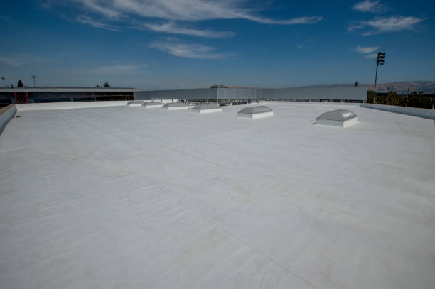 Roof Coating Services in Raubsville, PA