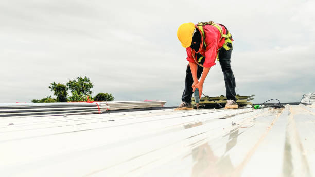 Best Sheet Metal Roofing  in Raubsville, PA